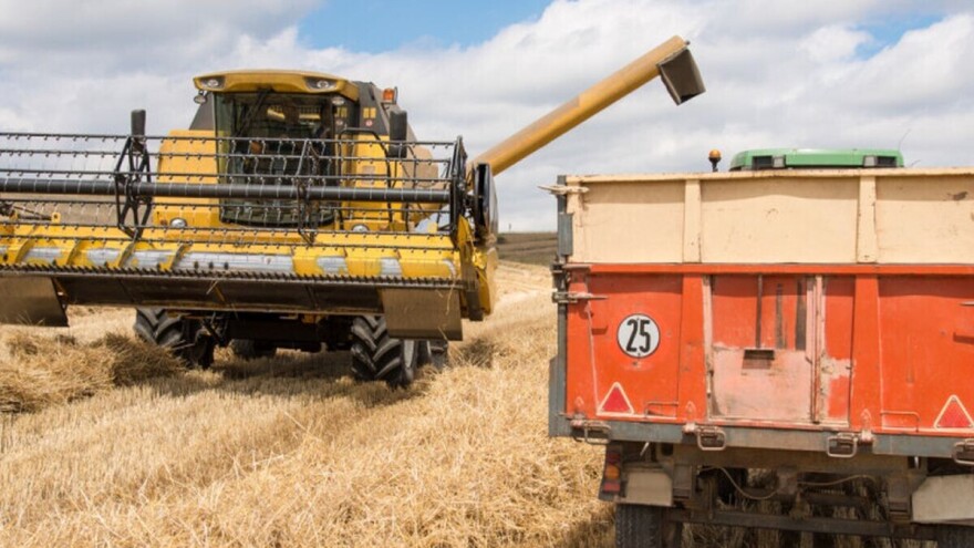 Ukrajina ruši rekorde, povećava se i izvoz pšenice iz te zemlje