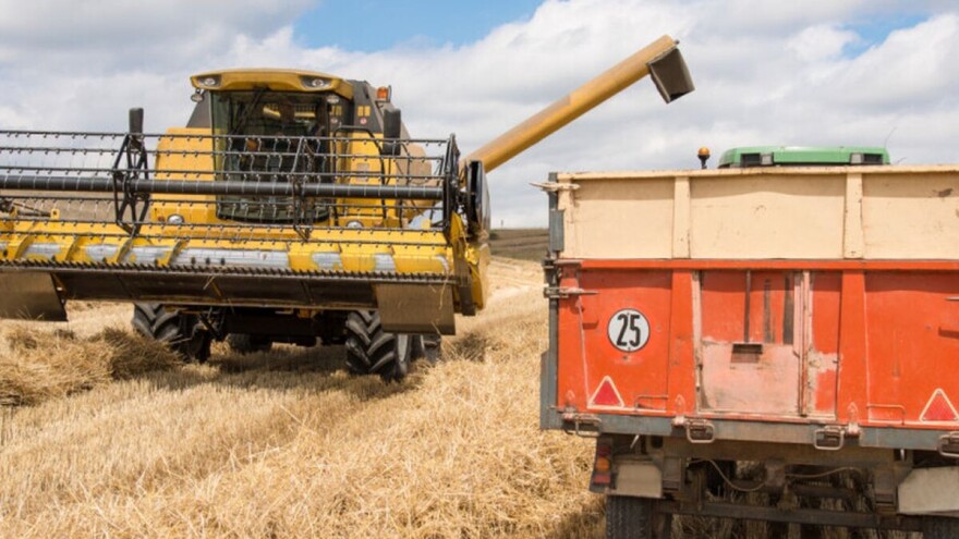 Faze razvoja žita počele su ranije u Ukrajini, proizvodnja bi mogla dostići novi rekord