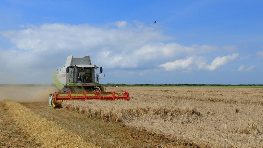 Otkupna cijena pšenice i dalje nepoznata