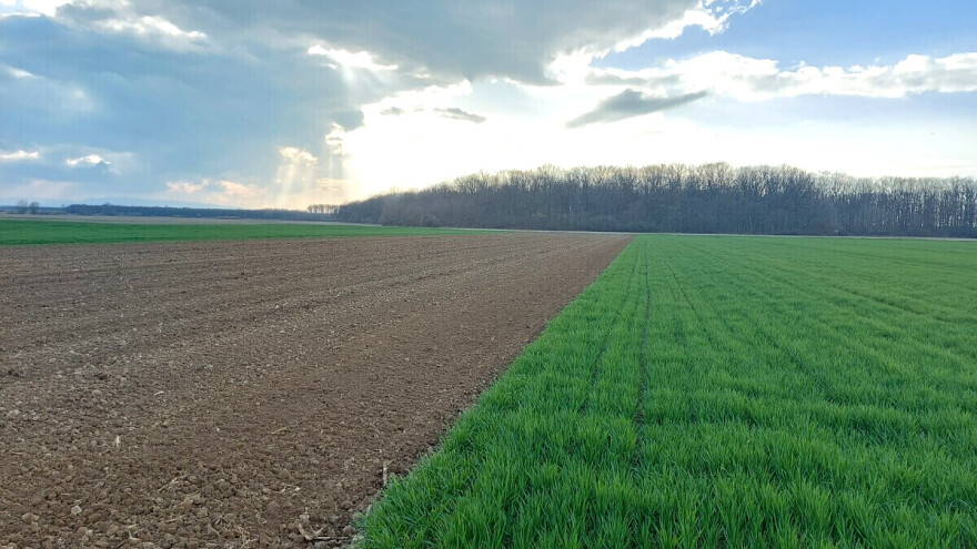 Nakon verifikovanja parcela zahtev za subvencije će se obraditi