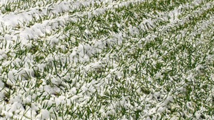 Nikad neizvjesnija proljetna sjetva