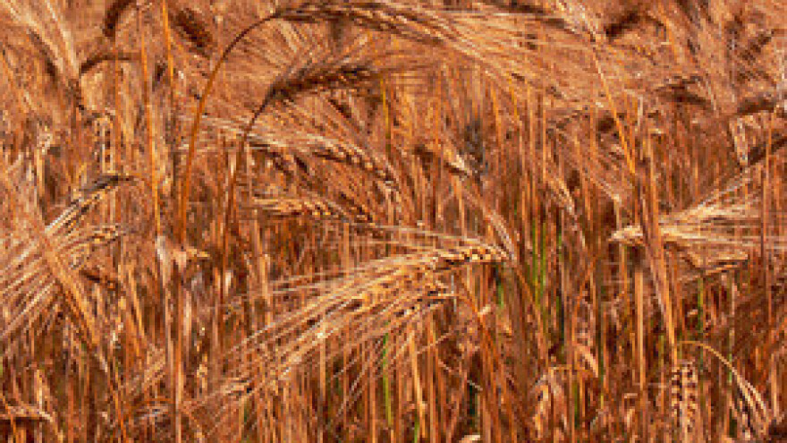 Cijela istina o hrvatskoj poljoprivredi