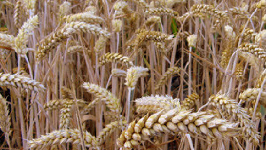 Agencija za plaćanje dobila akreditaciju