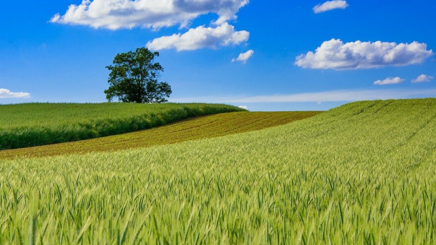 Sunčano i veoma toplo vreme - za vikend pljuskovi