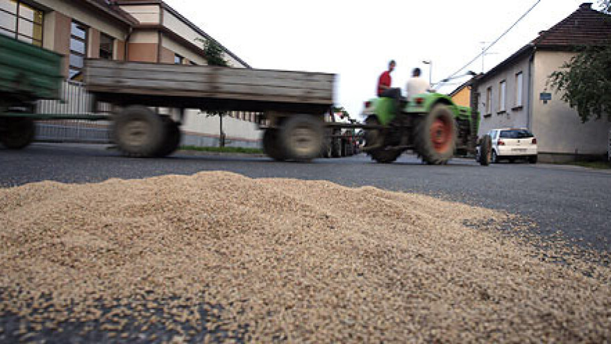 Nezadovoljni poljoprivrednici prosuli pšenicu