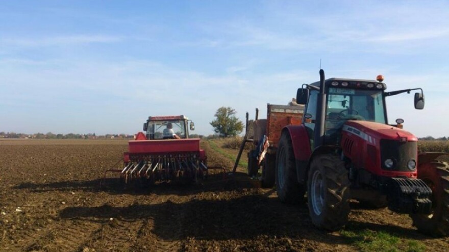 Kiša diktira ritam kupnje i prodaje žitarica