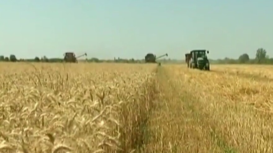 Zasijano najmanje pšenice u povijesti Hrvatske