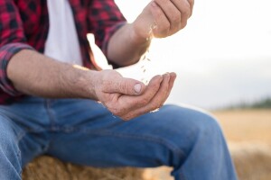 Značajan rast trgovinske razmjene između Rusije i Kine