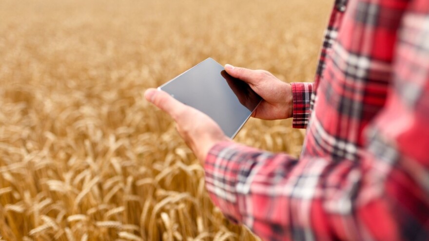 Proizvođači merkantilne pšenice - do kraja januara podnesite prijavu za ostvarivanje podsticaja!