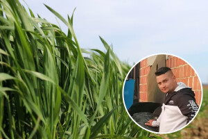 Dario Marić: Zašto ne mogu do potpora dok ih neki primaju bez da obrađuju zemlju?