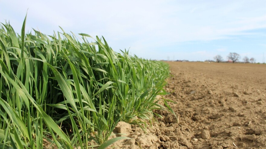 Europska komisija dala 13 preporuka, koje su "boljke" hrvatske poljoprivrede?