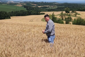 Pšenica domaćeg sjemena u dobroj kondiciji: Očekuju natprosječan prinos