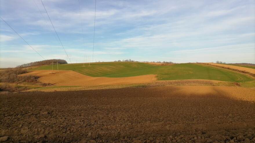 U jesenjoj sjetvi u RS zasijano više od 66.000 ha, najviše pšenice