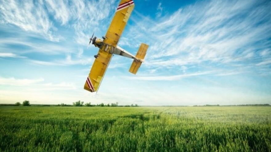 Suvo vreme desetkovalo svetske useve pšenice
