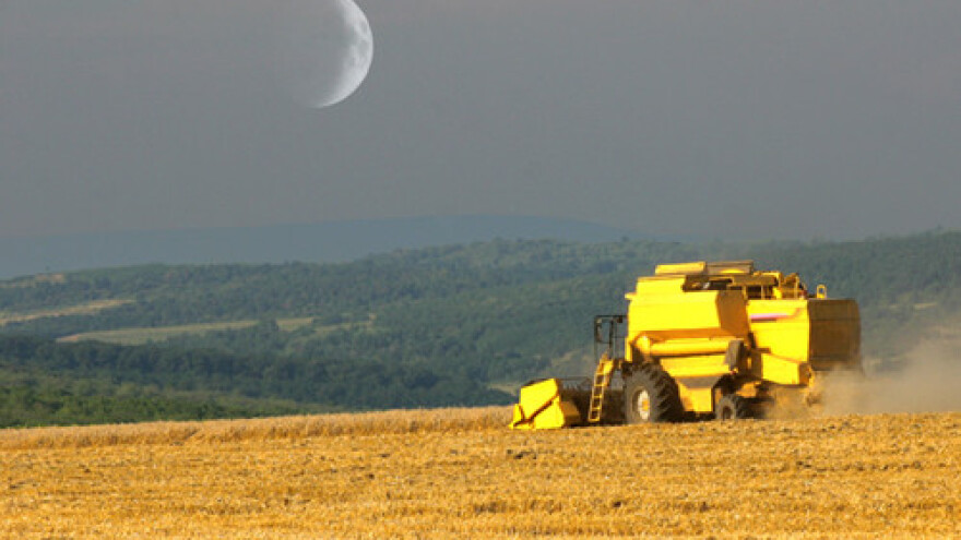 Osigurati naplatu pšenice