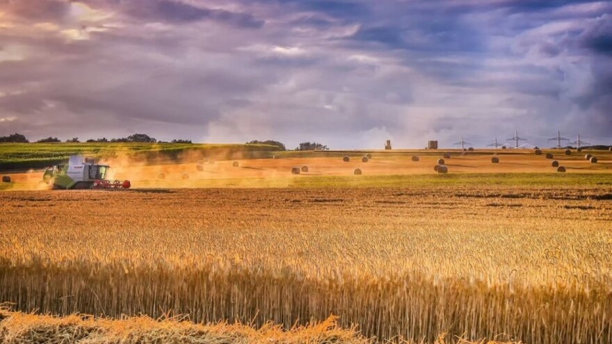 Rusija proizvela 16% manje pšenice nego lani, ali ne planira ograničavanje izvoza