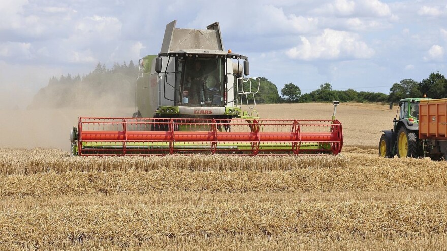 Rast cene pšenice uz pad prometa na berzi