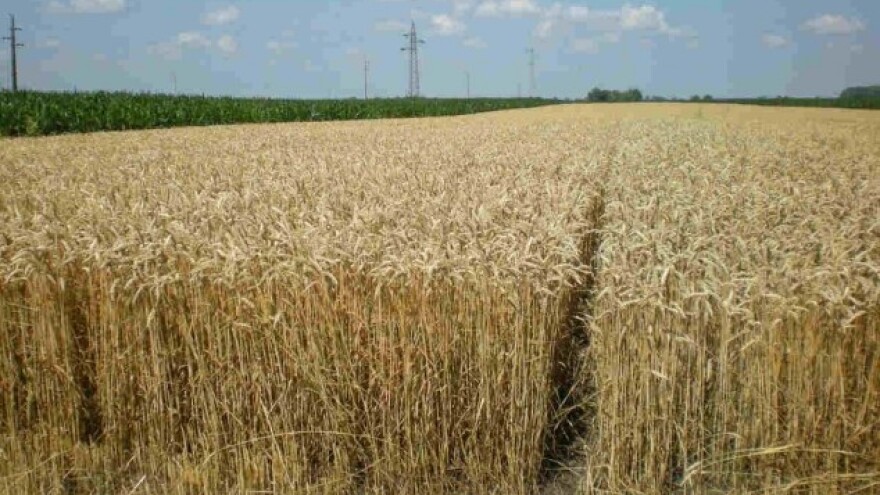 Godine dopisivanja sa 6 vlada, odgovora nigde