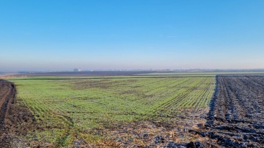 Visoke temperature za sada ne štete ozimim usevima. Kada se možemo nadati padavinama?