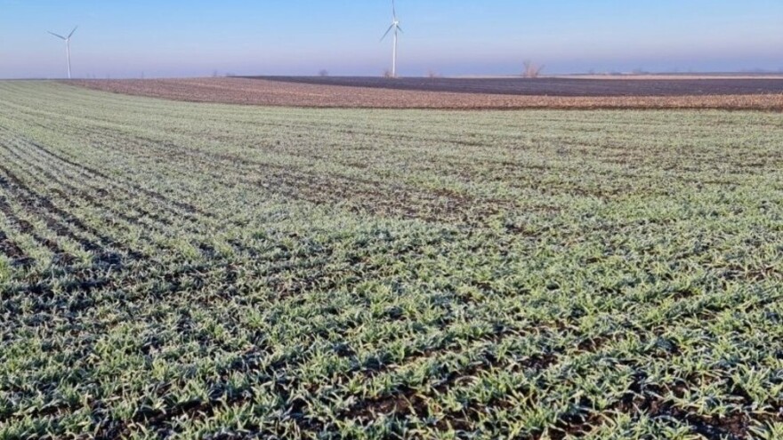 RHMZ: Oblačno, uz slabu kišu i provejavanje snega