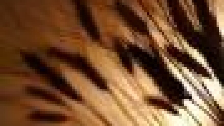 Zbog lošije zarade sije se manje pšenice