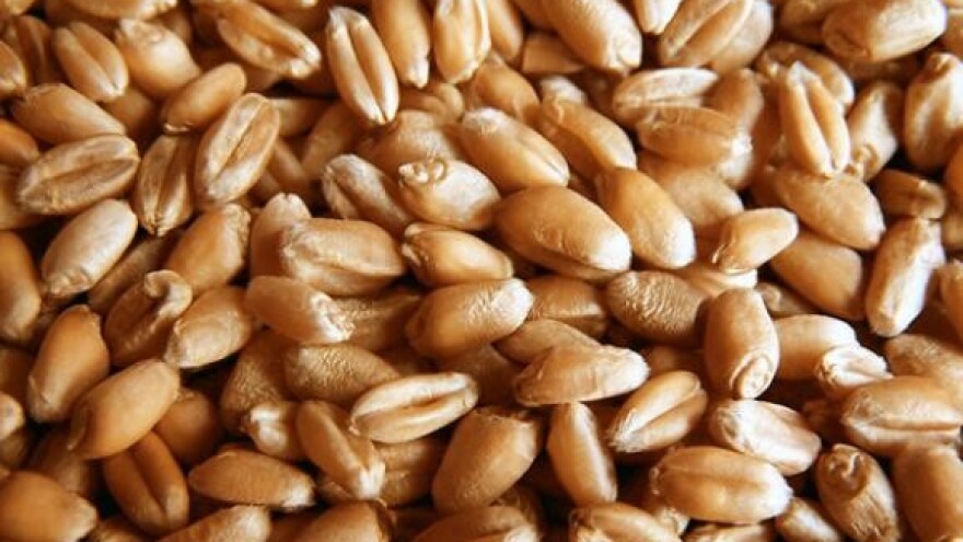 Nestalo žito u splitskoj luci?