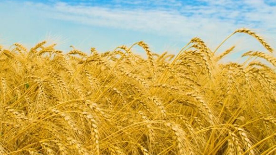 Zemljišni maksimum treba biti 80 hektara