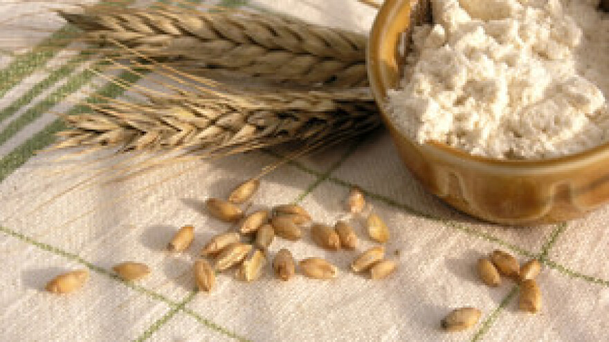 Intervju s direktoricom Žitozajednice