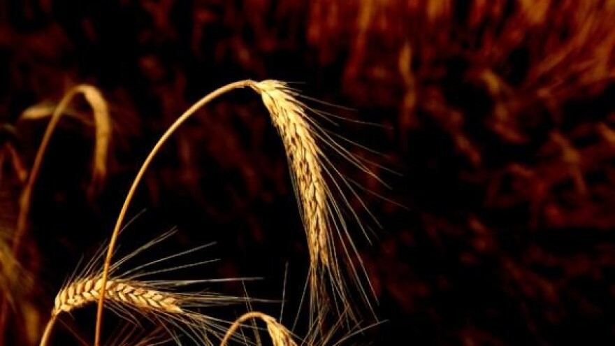 Proglašena nepogoda