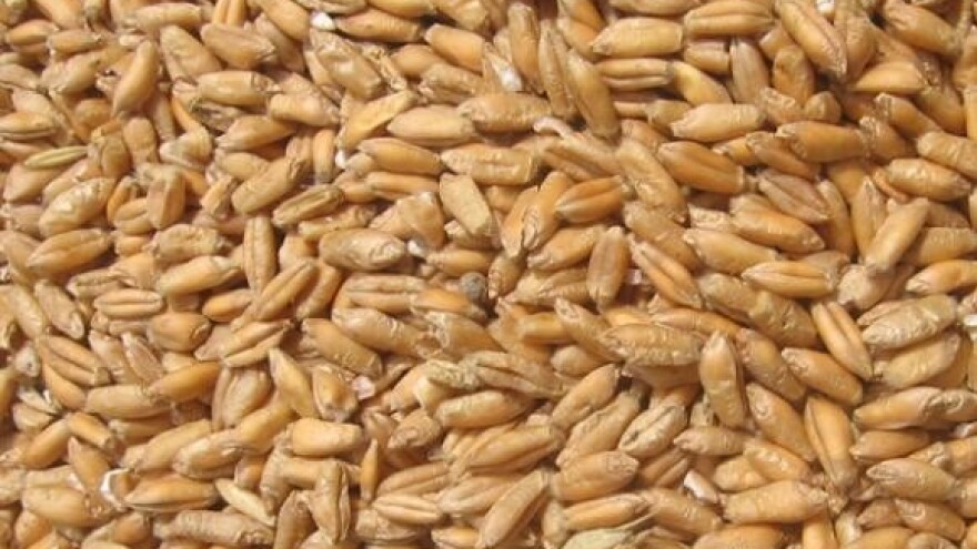 Stabiliziranje cijena pšenice