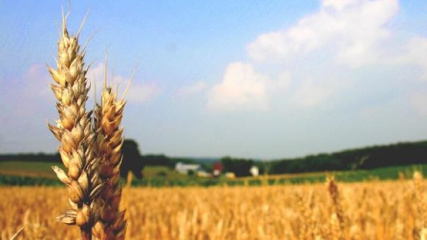 Đakovština treći put "na bubnju"