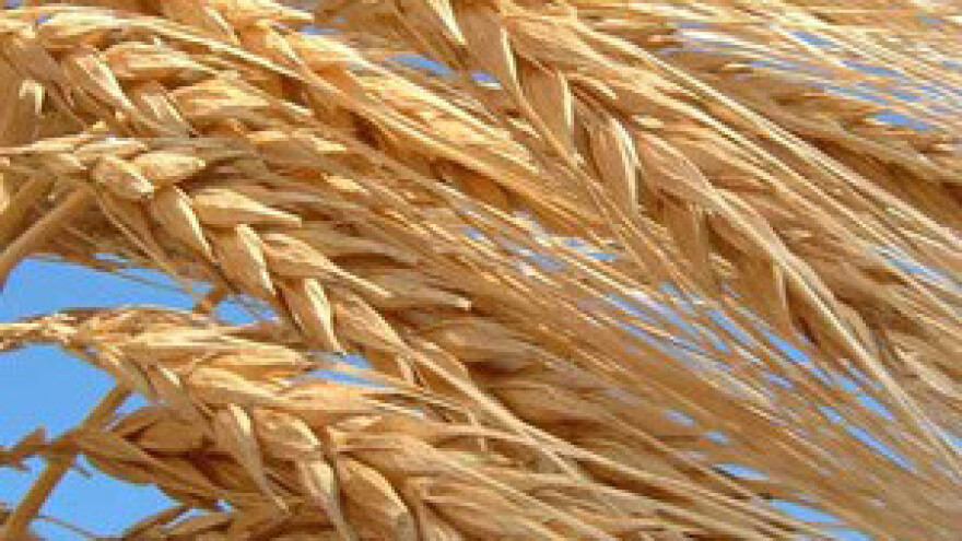 Otkupljivači prisvajaju 50 milijuna kn