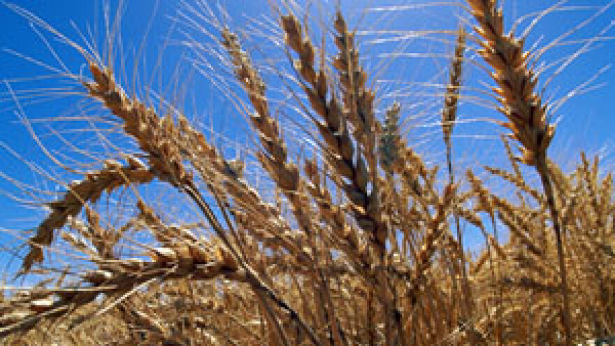 Počela isplata poticaja