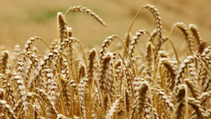 Belje: od ruba stečaja do uzorne kompanije