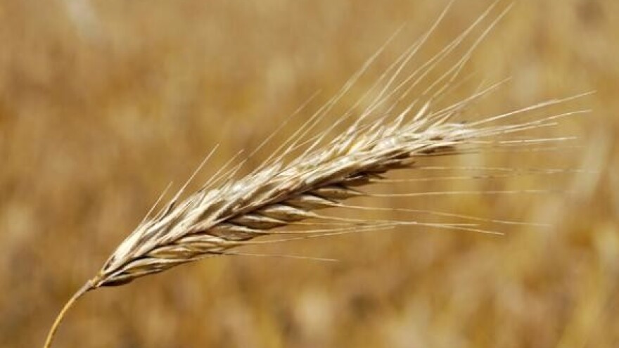 Poslani vaučeri za repromaterijal