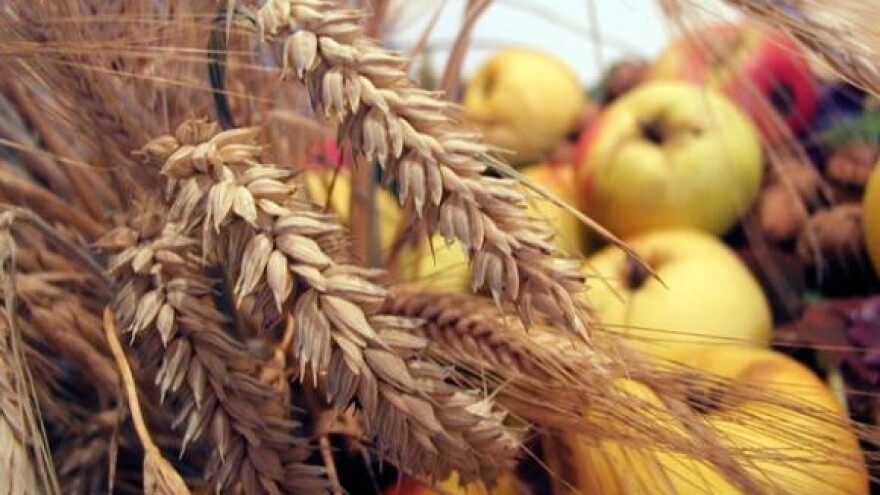 Nema dogovora oko pšenice