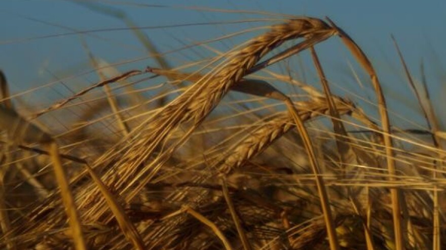 Za jesensku sjetvu milijarda kuna