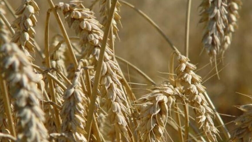 "Tavanuša" će unazaditi hrvatsku poljoprivredu