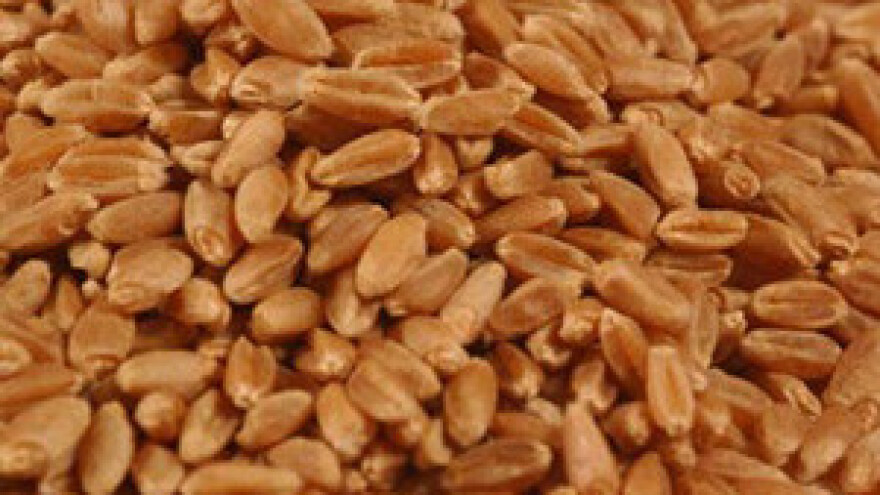 Čobanković s predstavnicima bivših radnika "Đakovštine"