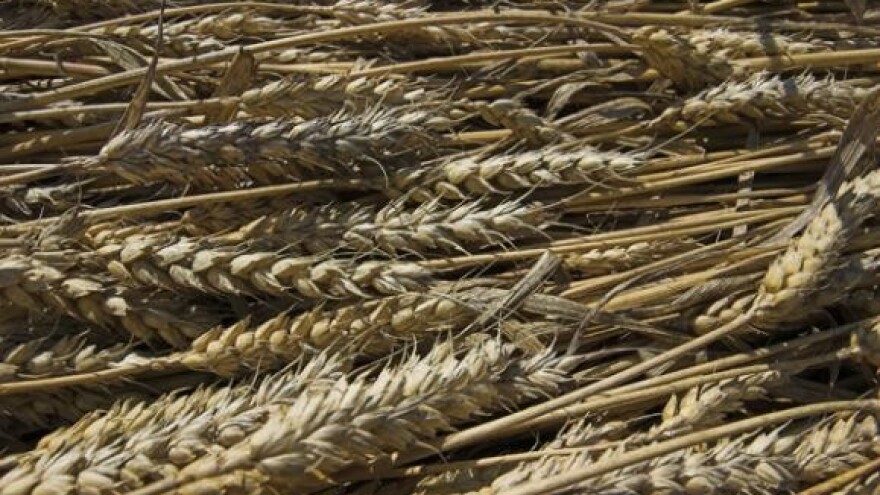 Svi zarađuju, a mi smo krivi