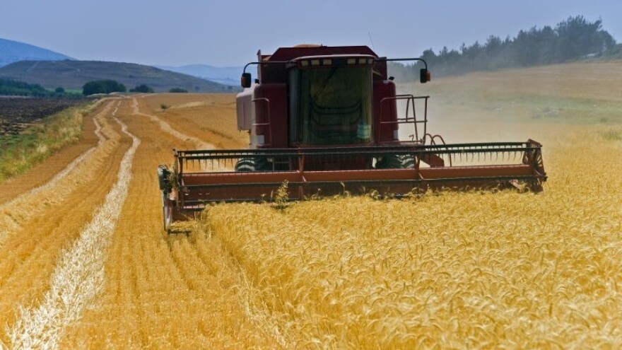 Tko su najveći uvoznici pšenice ove sezone?