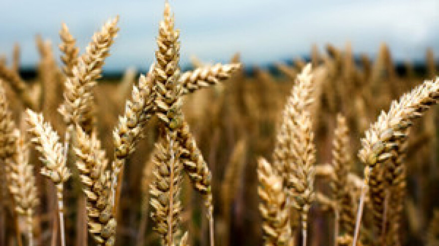 Primjena herbicida u jesenskom periodu