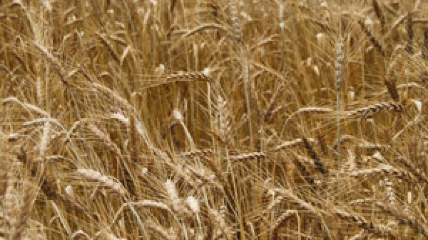 Čobanković bez dogovora s radnicima Đakovštine