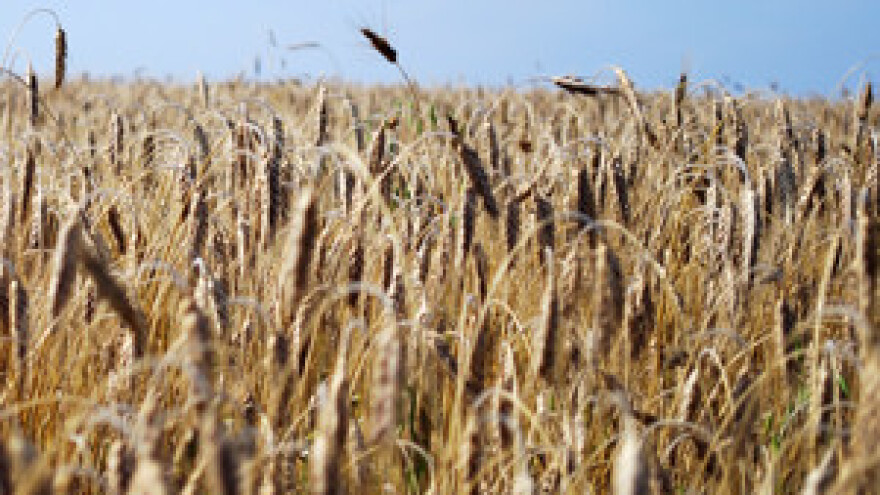 Napokon se našao kupac za Đakovštinu