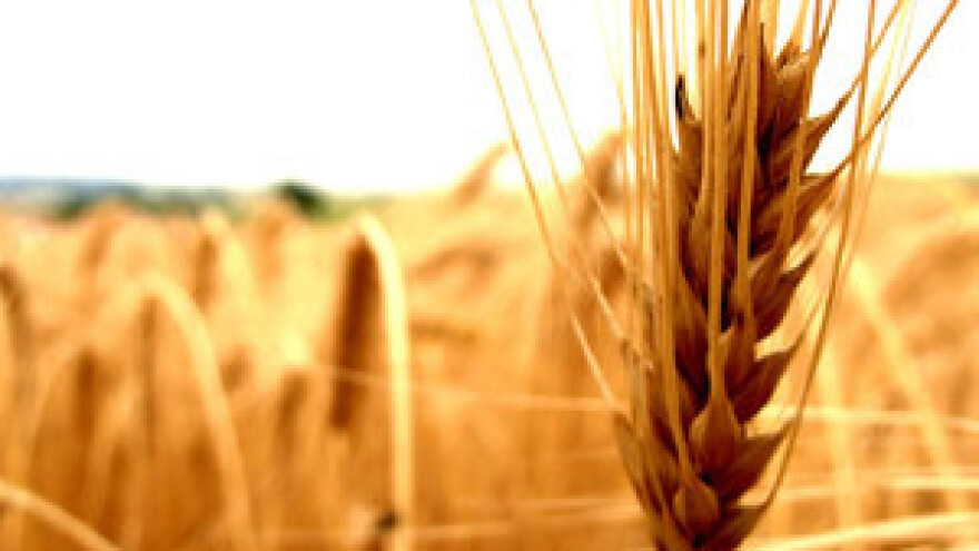 Spašavanje radnika Đakovštine opasan je presedan