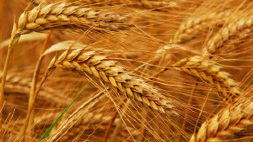 Oštar pad cijena hrane u svijetu