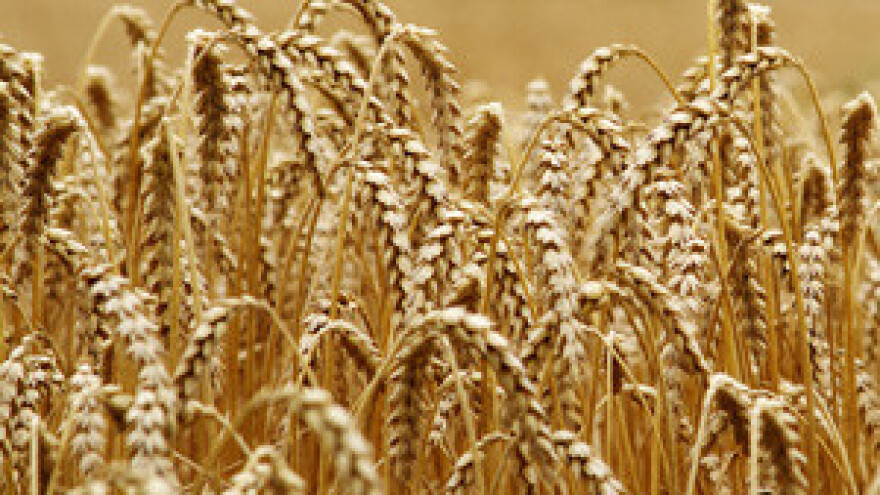 Uskoro novi IPARD natječaj za Mjere 101 i 103