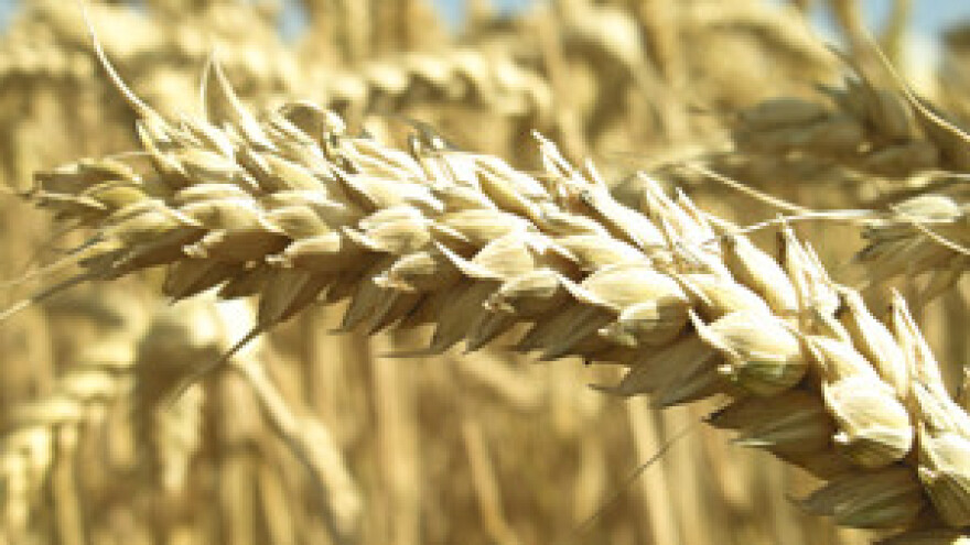 Radnici Sjemenarstva na ulici?