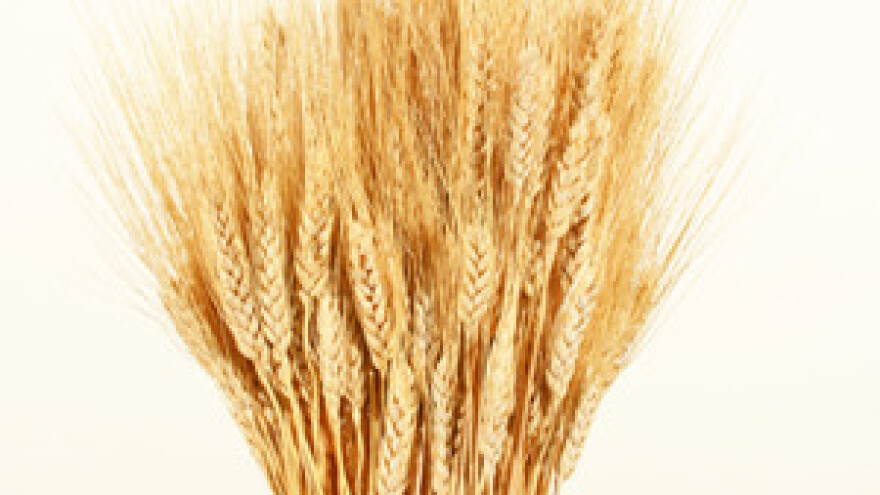 Jakovina: Drugi dio poticaja ovaj tjedan