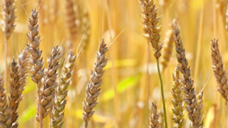 Ministra Jakovinu nije trgnula ni suša